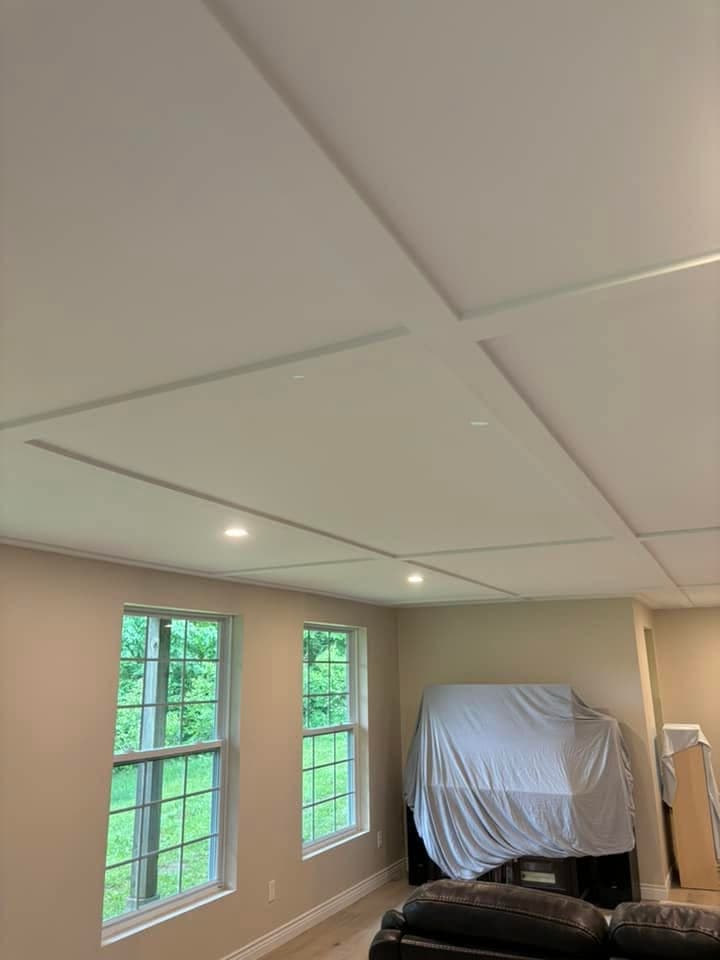 Vaulted ceiling in a new build